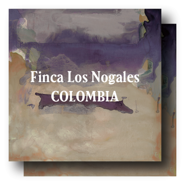 <img class='new_mark_img1' src='https://img.shop-pro.jp/img/new/icons5.gif' style='border:none;display:inline;margin:0px;padding:0px;width:auto;' />Colombia Finca Los Nogales  