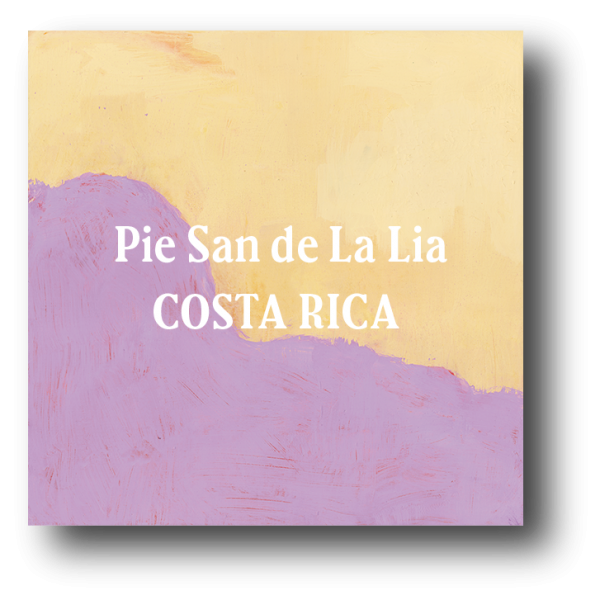 <img class='new_mark_img1' src='https://img.shop-pro.jp/img/new/icons5.gif' style='border:none;display:inline;margin:0px;padding:0px;width:auto;' />Costa Rica Pie San de La Lia  200g