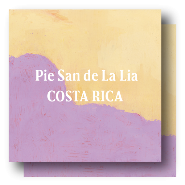 <img class='new_mark_img1' src='https://img.shop-pro.jp/img/new/icons5.gif' style='border:none;display:inline;margin:0px;padding:0px;width:auto;' />Costa Rica Pie San de La Lia  400g(200g×2)