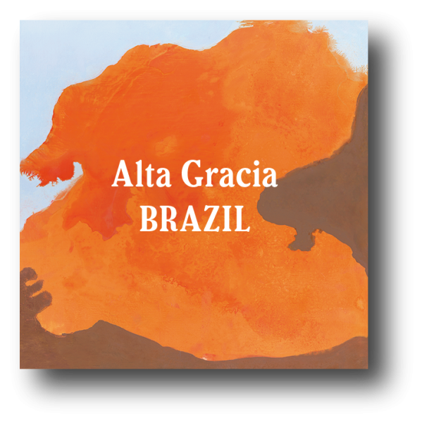 <img class='new_mark_img1' src='https://img.shop-pro.jp/img/new/icons5.gif' style='border:none;display:inline;margin:0px;padding:0px;width:auto;' />Brazil Alta Gracia Natural Fermented 200g