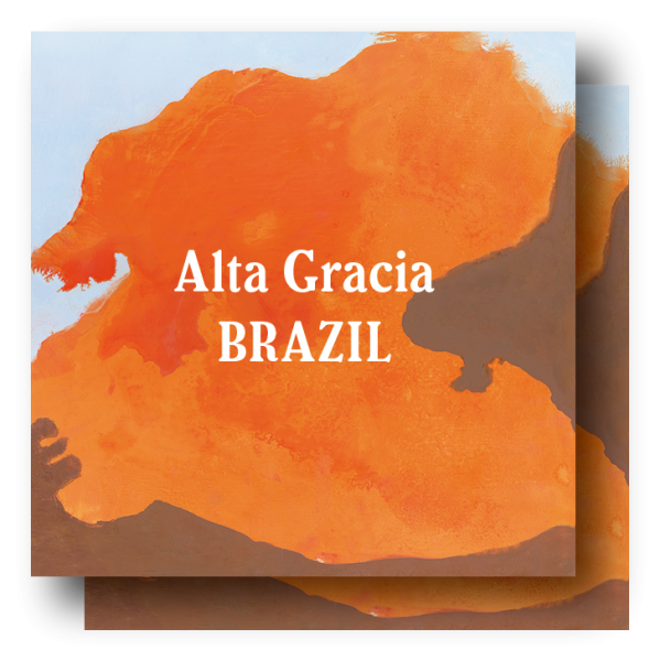 <img class='new_mark_img1' src='https://img.shop-pro.jp/img/new/icons5.gif' style='border:none;display:inline;margin:0px;padding:0px;width:auto;' />Brazil Alta Gracia Natural Fermented 200g×2