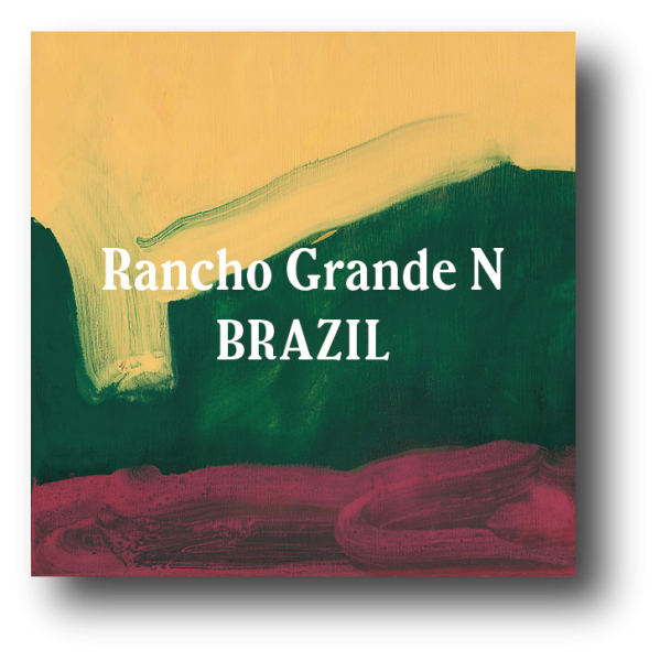 <img class='new_mark_img1' src='https://img.shop-pro.jp/img/new/icons5.gif' style='border:none;display:inline;margin:0px;padding:0px;width:auto;' />Brazil Taste of Harvest #10 Rancho Grande Natural 200g