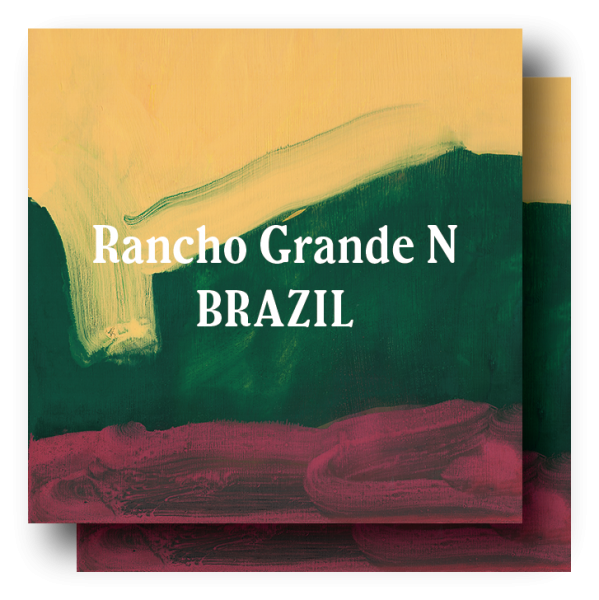 <img class='new_mark_img1' src='https://img.shop-pro.jp/img/new/icons5.gif' style='border:none;display:inline;margin:0px;padding:0px;width:auto;' />Brazil Taste of Harvest #10 Rancho Grande Natural 400g (200g2)