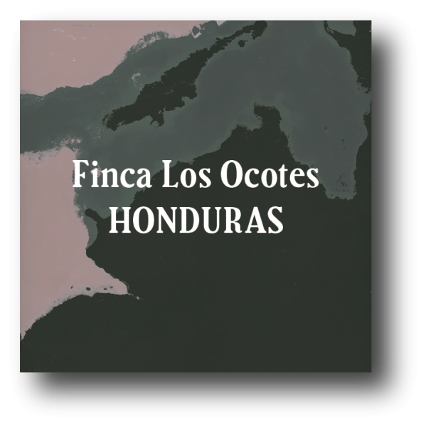 <img class='new_mark_img1' src='https://img.shop-pro.jp/img/new/icons5.gif' style='border:none;display:inline;margin:0px;padding:0px;width:auto;' />Honduras Finca Los Ocotes Dark Roast 200g