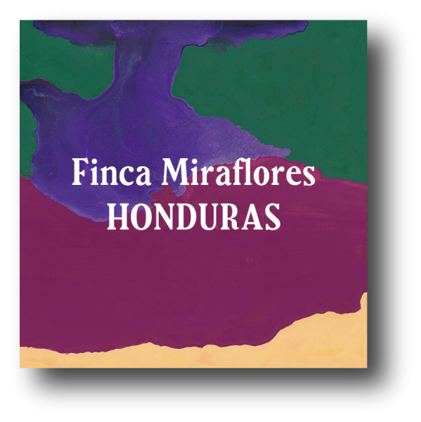 <img class='new_mark_img1' src='https://img.shop-pro.jp/img/new/icons5.gif' style='border:none;display:inline;margin:0px;padding:0px;width:auto;' />Honduras Finca Miraflores 200g
