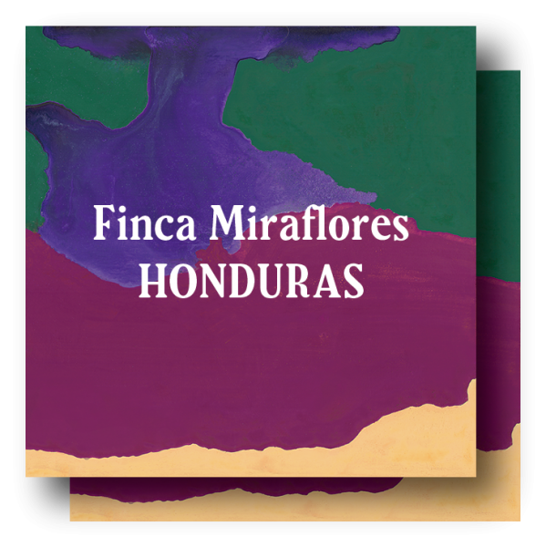 <img class='new_mark_img1' src='https://img.shop-pro.jp/img/new/icons5.gif' style='border:none;display:inline;margin:0px;padding:0px;width:auto;' />Honduras Finca Miraflores 400g (200g×2)