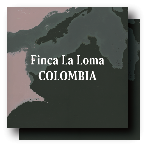 <img class='new_mark_img1' src='https://img.shop-pro.jp/img/new/icons5.gif' style='border:none;display:inline;margin:0px;padding:0px;width:auto;' />Colombia Finca La Loma Dark Roast 400g (200g×2)