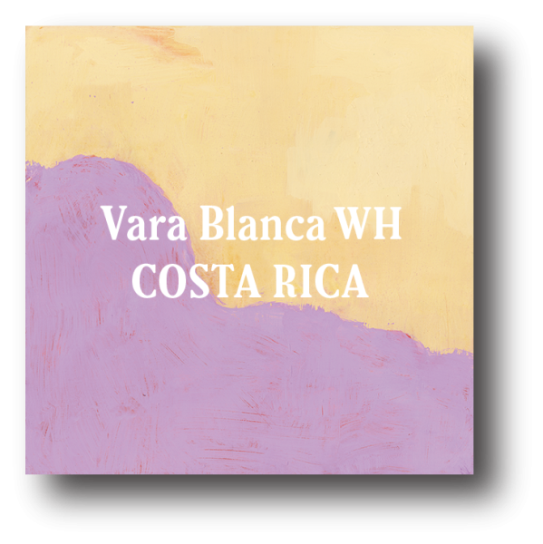 <img class='new_mark_img1' src='https://img.shop-pro.jp/img/new/icons5.gif' style='border:none;display:inline;margin:0px;padding:0px;width:auto;' />Costa Rica Finca Vara Blanca WH 200g