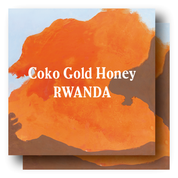 <img class='new_mark_img1' src='https://img.shop-pro.jp/img/new/icons5.gif' style='border:none;display:inline;margin:0px;padding:0px;width:auto;' />Rwanda Coko Gold Honey 400g (200g×2)