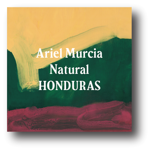 <img class='new_mark_img1' src='https://img.shop-pro.jp/img/new/icons5.gif' style='border:none;display:inline;margin:0px;padding:0px;width:auto;' />Honduras Ariel Murcia Natural 200g