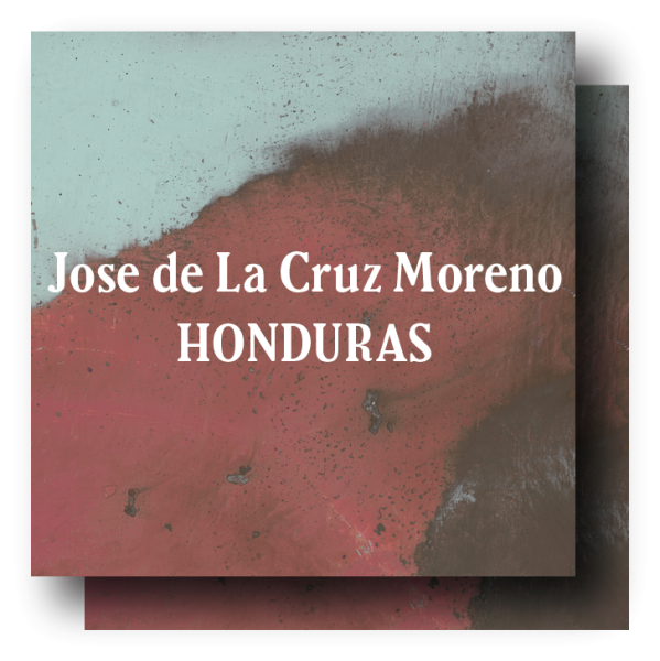 <img class='new_mark_img1' src='https://img.shop-pro.jp/img/new/icons5.gif' style='border:none;display:inline;margin:0px;padding:0px;width:auto;' />Honduras Jose de La Cruz Moreno  