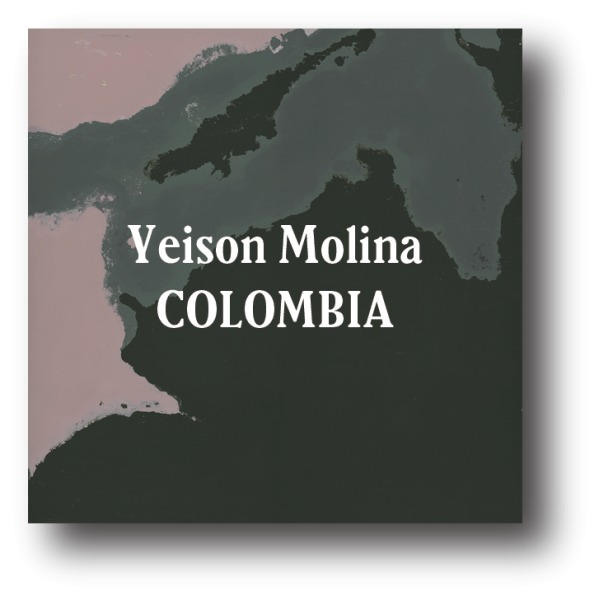 <img class='new_mark_img1' src='https://img.shop-pro.jp/img/new/icons5.gif' style='border:none;display:inline;margin:0px;padding:0px;width:auto;' />Colombia Yeison Molina 