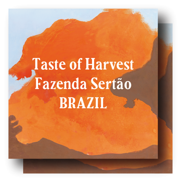 <img class='new_mark_img1' src='https://img.shop-pro.jp/img/new/icons5.gif' style='border:none;display:inline;margin:0px;padding:0px;width:auto;' />Brazil Taste of Harvest Fazenda Sertão 400g (200g×2)