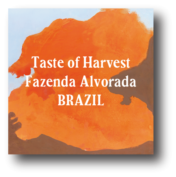 <img class='new_mark_img1' src='https://img.shop-pro.jp/img/new/icons5.gif' style='border:none;display:inline;margin:0px;padding:0px;width:auto;' />Brazil Taste of Harvest Fazenda Alvorada 200g