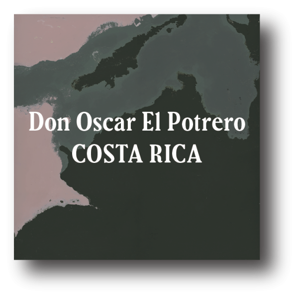 <img class='new_mark_img1' src='https://img.shop-pro.jp/img/new/icons5.gif' style='border:none;display:inline;margin:0px;padding:0px;width:auto;' />Costa Rica Don Oscar El Potrero Dark Roast 200g