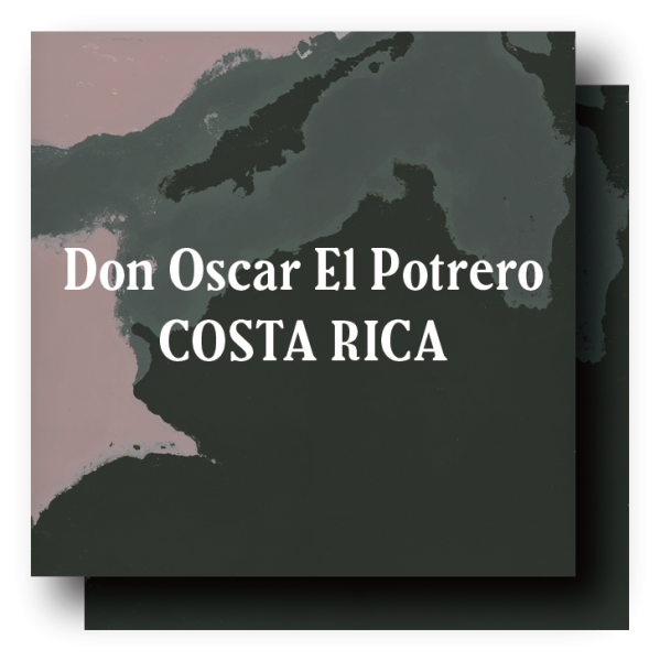 <img class='new_mark_img1' src='https://img.shop-pro.jp/img/new/icons5.gif' style='border:none;display:inline;margin:0px;padding:0px;width:auto;' />Costa Rica Don Oscar El Potrero Dark Roast 400g (200g×2)