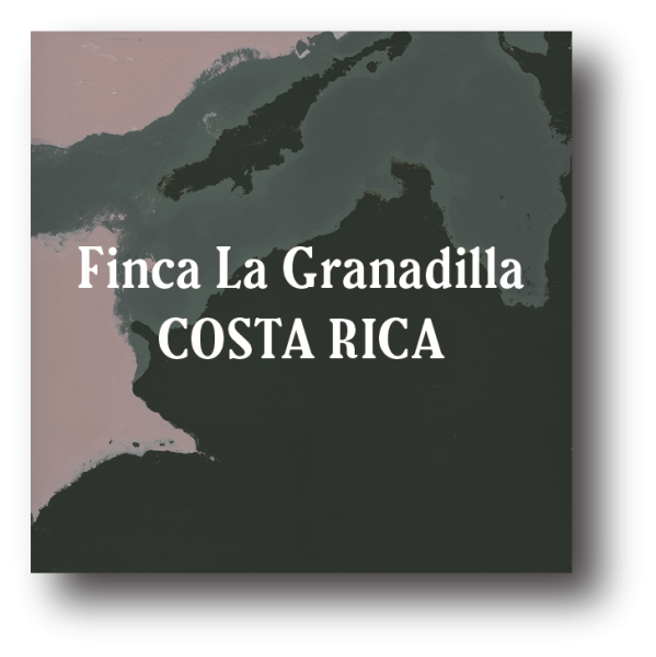 <img class='new_mark_img1' src='https://img.shop-pro.jp/img/new/icons5.gif' style='border:none;display:inline;margin:0px;padding:0px;width:auto;' />Costa Rica Finca La Granadilla Dark Roast 200g