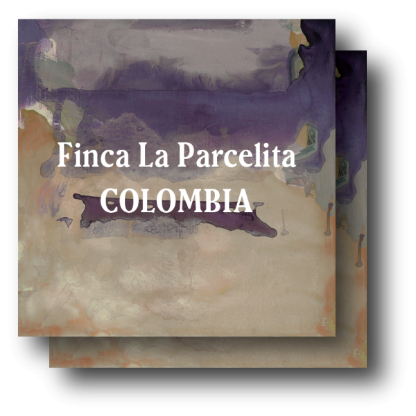<img class='new_mark_img1' src='https://img.shop-pro.jp/img/new/icons5.gif' style='border:none;display:inline;margin:0px;padding:0px;width:auto;' />Colombia Finca La Parcelita  