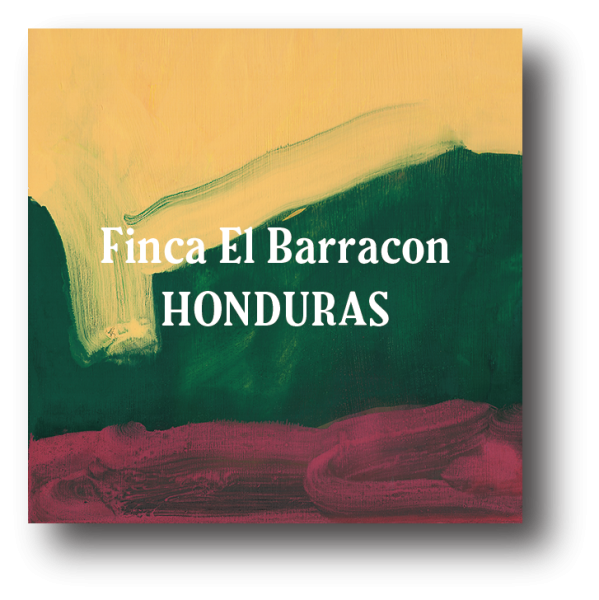 <img class='new_mark_img1' src='https://img.shop-pro.jp/img/new/icons5.gif' style='border:none;display:inline;margin:0px;padding:0px;width:auto;' />Honduras Finca El Barracon 200g