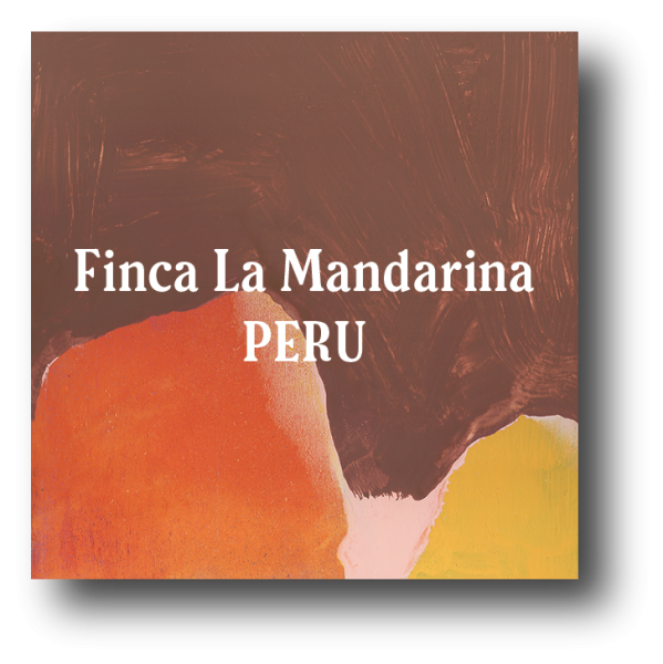<img class='new_mark_img1' src='https://img.shop-pro.jp/img/new/icons5.gif' style='border:none;display:inline;margin:0px;padding:0px;width:auto;' />Perú Finca La Mandarina 