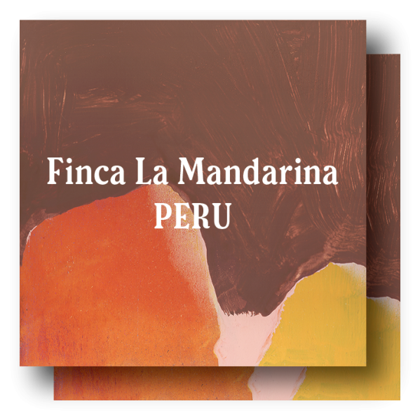 <img class='new_mark_img1' src='https://img.shop-pro.jp/img/new/icons5.gif' style='border:none;display:inline;margin:0px;padding:0px;width:auto;' />Perú Finca La Mandarina  