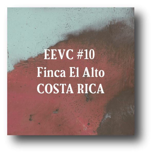 <img class='new_mark_img1' src='https://img.shop-pro.jp/img/new/icons5.gif' style='border:none;display:inline;margin:0px;padding:0px;width:auto;' />EEVC#10 Costa Rica Finca El Alto 100g