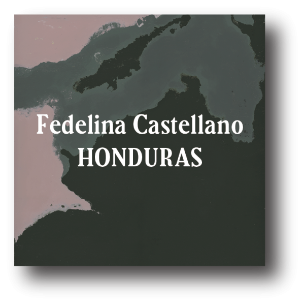 <img class='new_mark_img1' src='https://img.shop-pro.jp/img/new/icons5.gif' style='border:none;display:inline;margin:0px;padding:0px;width:auto;' />Honduras Fedelina Castellano Dark Roast 200g