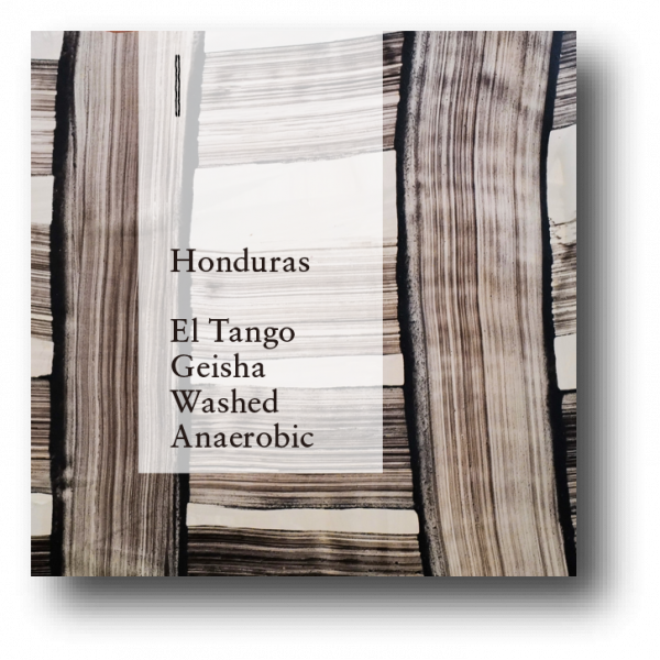 <img class='new_mark_img1' src='https://img.shop-pro.jp/img/new/icons5.gif' style='border:none;display:inline;margin:0px;padding:0px;width:auto;' />Honduras Finca El Tango Geisha Washed Anaerobic 100g