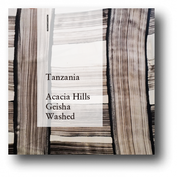 <img class='new_mark_img1' src='https://img.shop-pro.jp/img/new/icons5.gif' style='border:none;display:inline;margin:0px;padding:0px;width:auto;' />Tanzania Acacia Hills Geisha Washed 100g