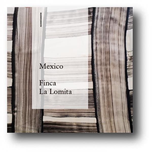 <img class='new_mark_img1' src='https://img.shop-pro.jp/img/new/icons5.gif' style='border:none;display:inline;margin:0px;padding:0px;width:auto;' />Mexico Finca La Lomita COE Submitted lot 150g