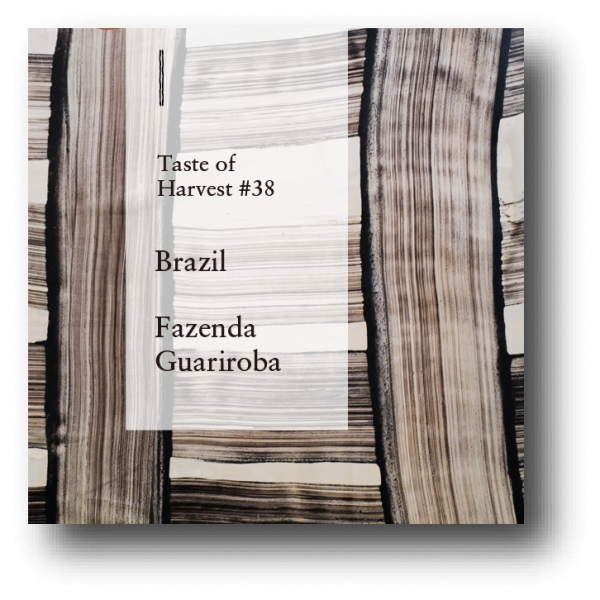 <img class='new_mark_img1' src='https://img.shop-pro.jp/img/new/icons5.gif' style='border:none;display:inline;margin:0px;padding:0px;width:auto;' />Brazil Taste of Harvest #38Fazenda Guariroba 150g