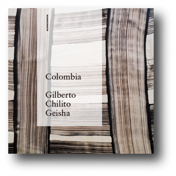 <img class='new_mark_img1' src='https://img.shop-pro.jp/img/new/icons5.gif' style='border:none;display:inline;margin:0px;padding:0px;width:auto;' />Colombia Gilberto Chilito Geisha Washed  200g