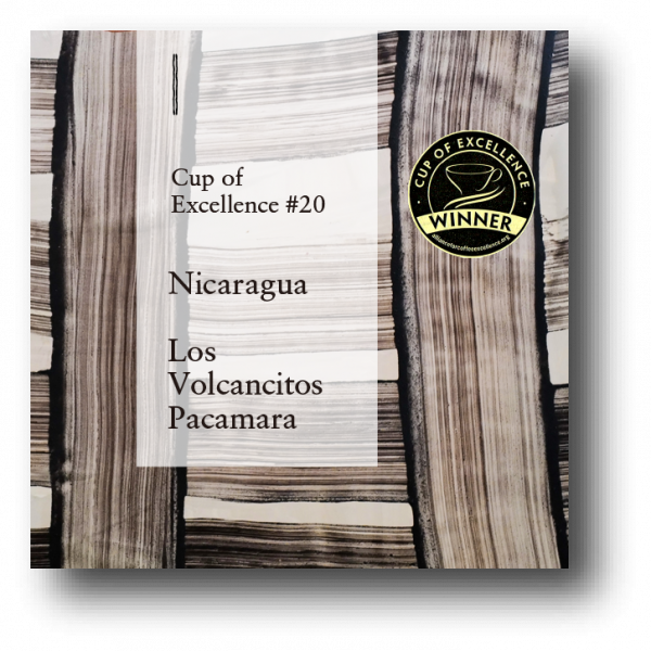 <img class='new_mark_img1' src='https://img.shop-pro.jp/img/new/icons5.gif' style='border:none;display:inline;margin:0px;padding:0px;width:auto;' />Nicaragua COE #20 Los Volcancitos Pacamara Washed 150g
