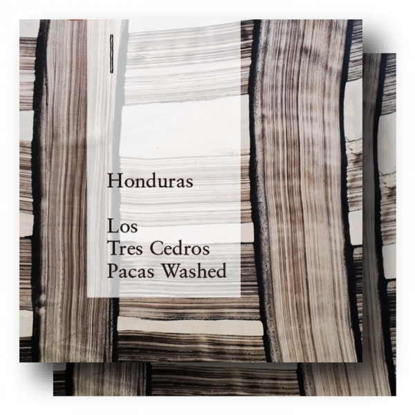 <img class='new_mark_img1' src='https://img.shop-pro.jp/img/new/icons5.gif' style='border:none;display:inline;margin:0px;padding:0px;width:auto;' />Honduras Finca Los Tres Cedros Pacas Washed 400g (200g2)