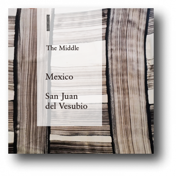 <img class='new_mark_img1' src='https://img.shop-pro.jp/img/new/icons5.gif' style='border:none;display:inline;margin:0px;padding:0px;width:auto;' />Mexico San Juan del Vesubio 