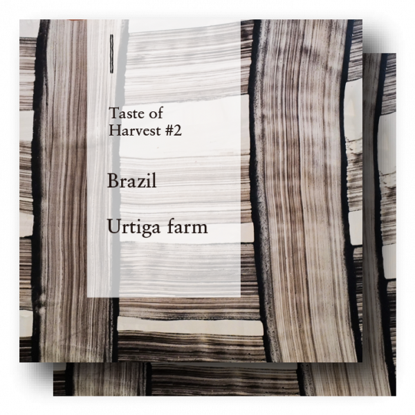 <img class='new_mark_img1' src='https://img.shop-pro.jp/img/new/icons5.gif' style='border:none;display:inline;margin:0px;padding:0px;width:auto;' />Brazil Taste of Harvest #2 Urtiga farm 400g (200g2)