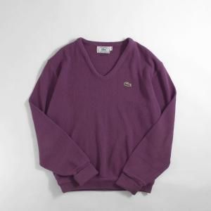 [ǥ] 1980s ơ åɥ饳 Vͥå˥å ѡץ [IZOD LACOSTE]