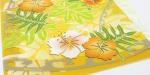 Plumeria Sun　（オレンジ）ハイビスカス柄｜クリアフォルダー