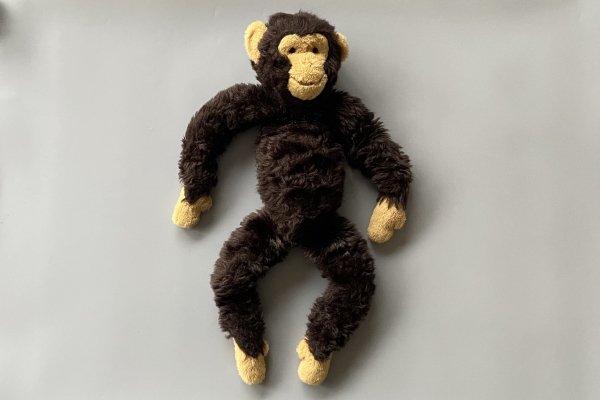 <img class='new_mark_img1' src='https://img.shop-pro.jp/img/new/icons14.gif' style='border:none;display:inline;margin:0px;padding:0px;width:auto;' />old chimpanzee doll