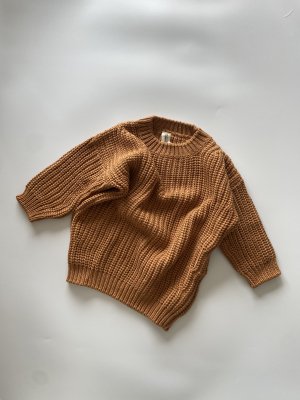 <img class='new_mark_img1' src='https://img.shop-pro.jp/img/new/icons16.gif' style='border:none;display:inline;margin:0px;padding:0px;width:auto;' />50%off SUMMER and STORM  KNITTED PULLOVER - BROWN SUGAR