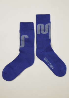 <img class='new_mark_img1' src='https://img.shop-pro.jp/img/new/icons16.gif' style='border:none;display:inline;margin:0px;padding:0px;width:auto;' />40%off AW23 Main Story Socks / Electric