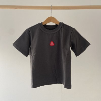 <img class='new_mark_img1' src='https://img.shop-pro.jp/img/new/icons14.gif' style='border:none;display:inline;margin:0px;padding:0px;width:auto;' />ACE & the HARMONY Harmony SS T-shirt - Volcanic ash