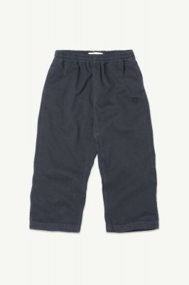 <img class='new_mark_img1' src='https://img.shop-pro.jp/img/new/icons14.gif' style='border:none;display:inline;margin:0px;padding:0px;width:auto;' />AW24 Main Story Easy Pant / Ink Twill