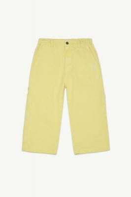<img class='new_mark_img1' src='https://img.shop-pro.jp/img/new/icons14.gif' style='border:none;display:inline;margin:0px;padding:0px;width:auto;' />AW25 Main Story Painter Pant - Pastel Yellow