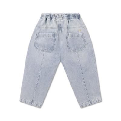 <img class='new_mark_img1' src='https://img.shop-pro.jp/img/new/icons14.gif' style='border:none;display:inline;margin:0px;padding:0px;width:auto;' />AW25 Repose.AMS wide pant - sky blue