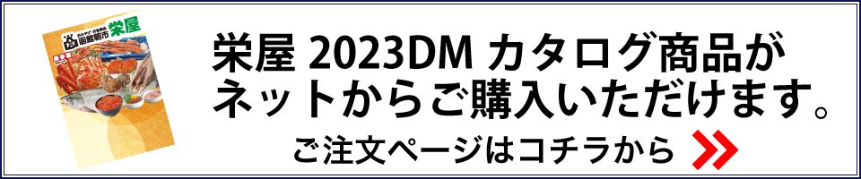 DM2023