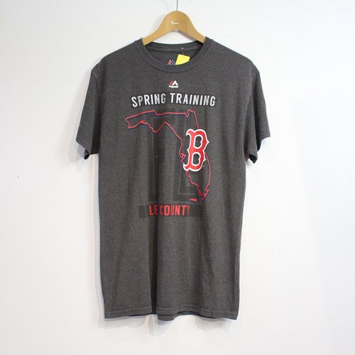 LR SELECT VINTAGE SPORTS-BOSTON RED SOX SPRING TRAINING S/S T-SHIRT (CHARCOAL)<img class='new_mark_img2' src='https://img.shop-pro.jp/img/new/icons5.gif' style='border:none;display:inline;margin:0px;padding:0px;width:auto;' />