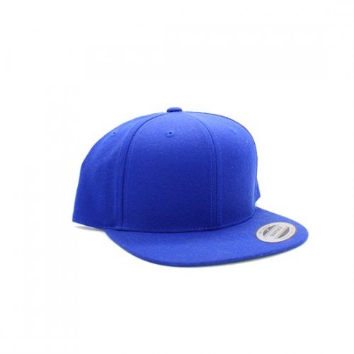 THE ROHE PROJECT -5panel CAP