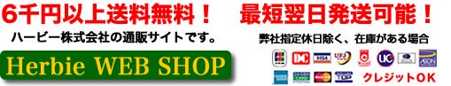 ɤʤꡢ˥˥ʤꡡХ֤Ӥ饸ʤɤξʡϡӡWEBSHOP