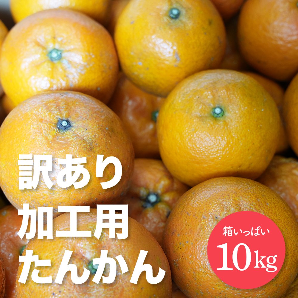 【加工用】ワケあり奄美大島産たんかん 10kg【送料無料】 - 奄美大島特産品販売ショップ　がじゅMarine